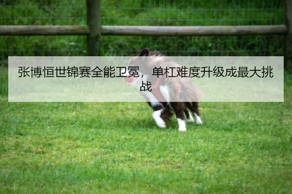 张博恒世锦赛全能卫冕，单杠难度升级成最大挑战